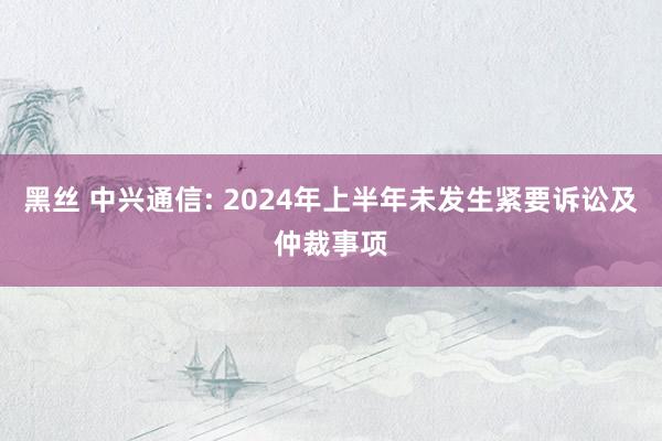 黑丝 中兴通信: 2024年上半年未发生紧要诉讼及仲裁事项