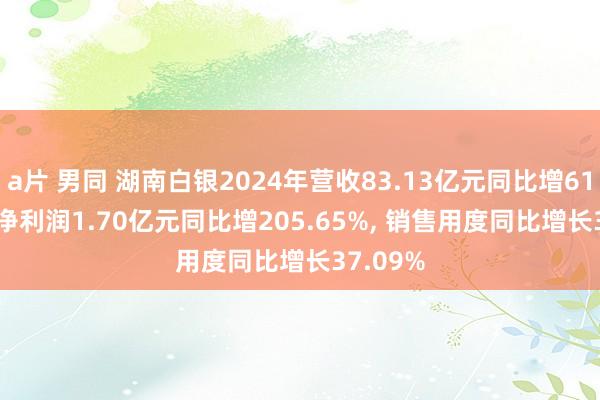 a片 男同 湖南白银2024年营收83.13亿元同比增61.76%， 净利润1.70亿元同比增205.65%， 销售用度同比增长37.09%